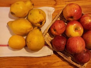 1455842_230327597127864_1629170466_n