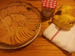 1471370_230327557127868_17935189_n