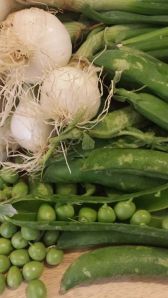 1012584_285398921620731_4691388972871136230_n